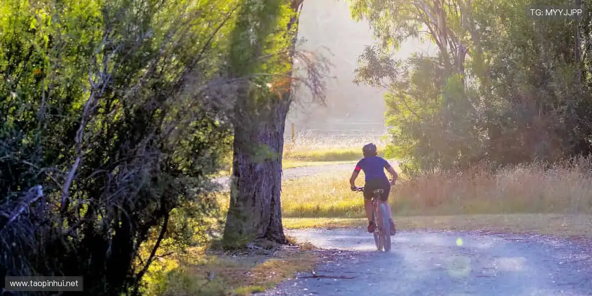 直播零时差,热血直击你的屏幕!📺🔥